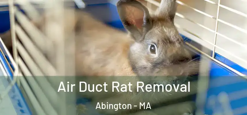  Air Duct Rat Removal Abington - MA