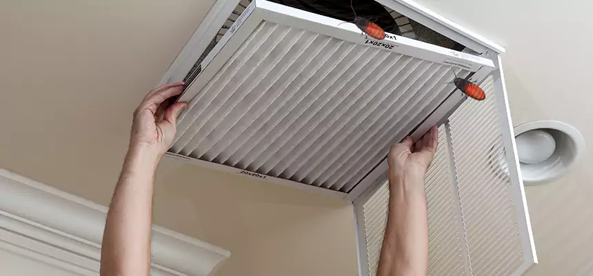 Preventive Cockroach-Proofing for Ducts in Abington