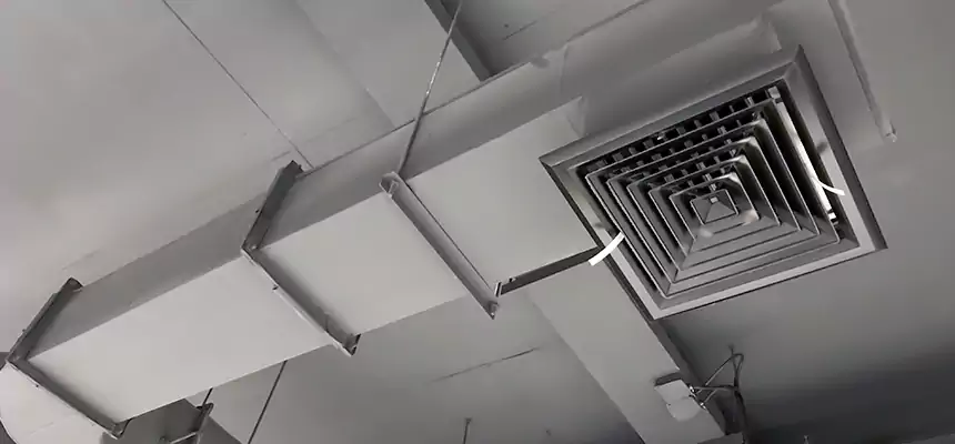 Our Pest Removal From Ducts Services in Abington, MA