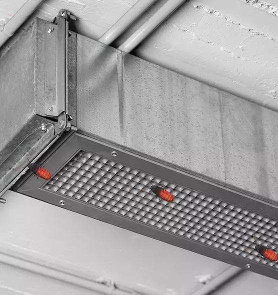 Affordable Insect Removal from Air Ducts in Abington, MA