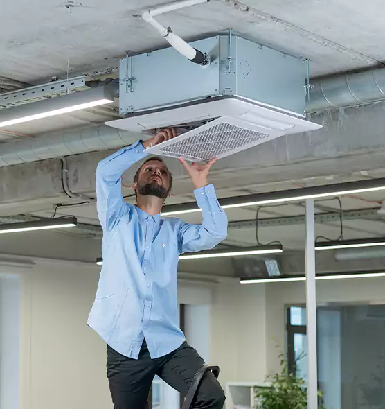 Advanced Rodent Droppings In Vents in Abington, MA