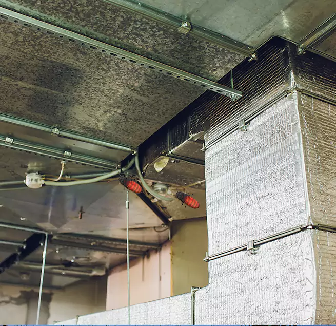 Why Homeowners & Businesses Trust Us in Abington, MA?