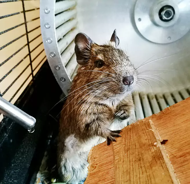 Why Homeowners & Businesses Trust Us Abington, MA