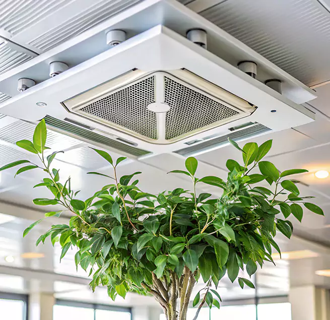 Why Homeowners & Businesses Trust Us in Abington, MA?